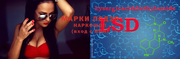PSILOCYBIN Алзамай