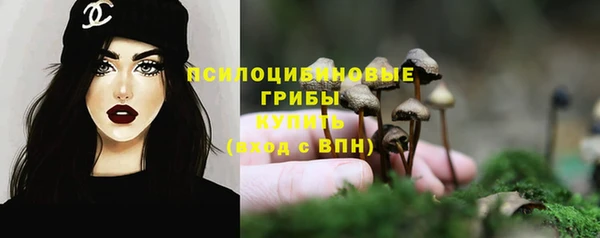 СК Алексеевка