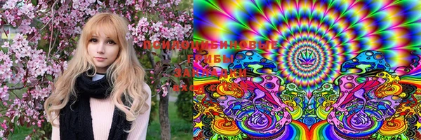 PSILOCYBIN Алзамай
