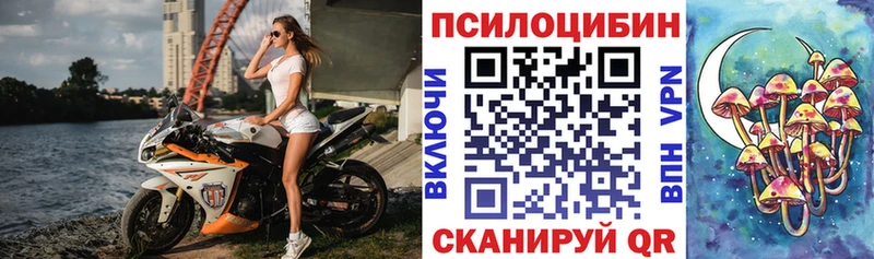 Галлюциногенные грибы Psilocybine cubensis  Тюмень 